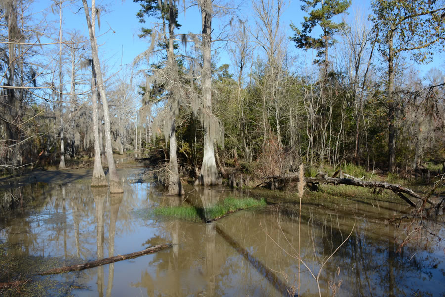 16_Unamed_tributary_of_Pearl_River_(055)