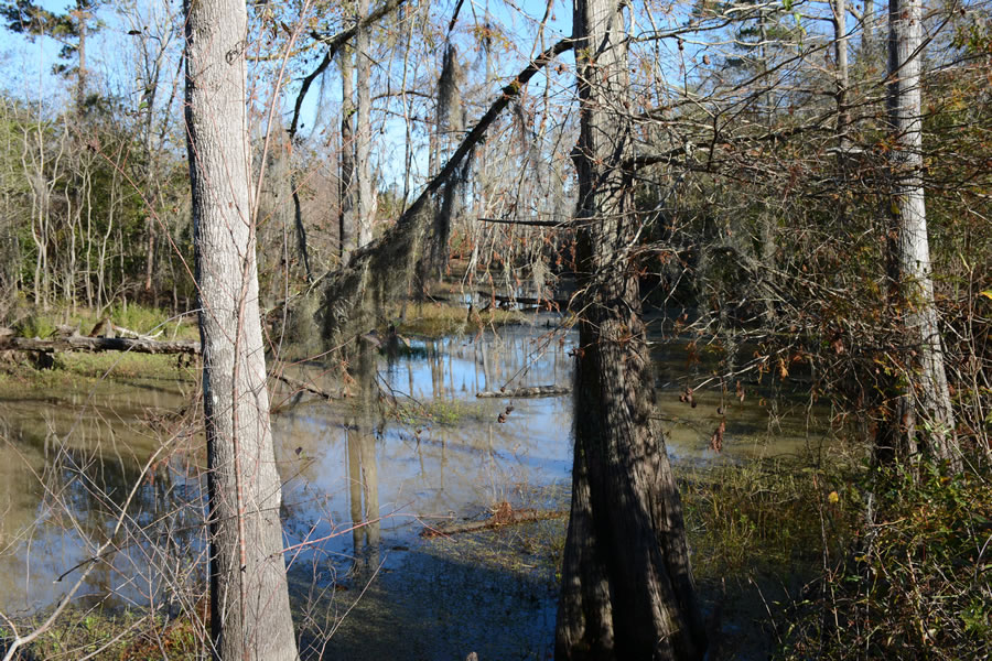 16_Unamed_tributary_of_Pearl_River_(100)